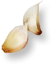 footer-garlic